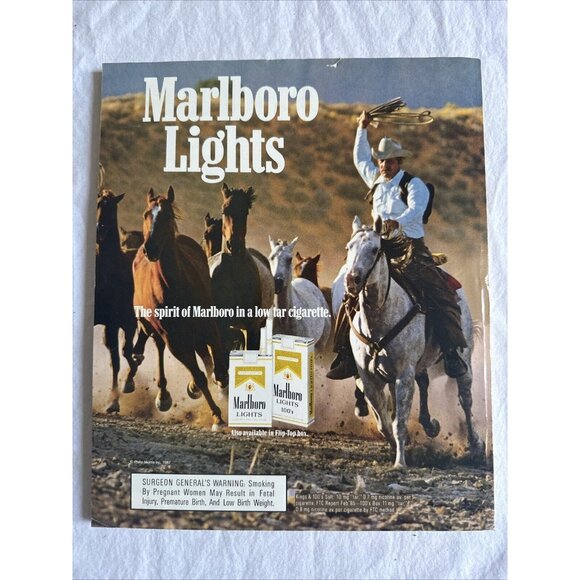 HARPER'S BAZAAR  AUGUST 1988 - Jacqueline Bisset, Liza Minelli - Picture 2 of 6